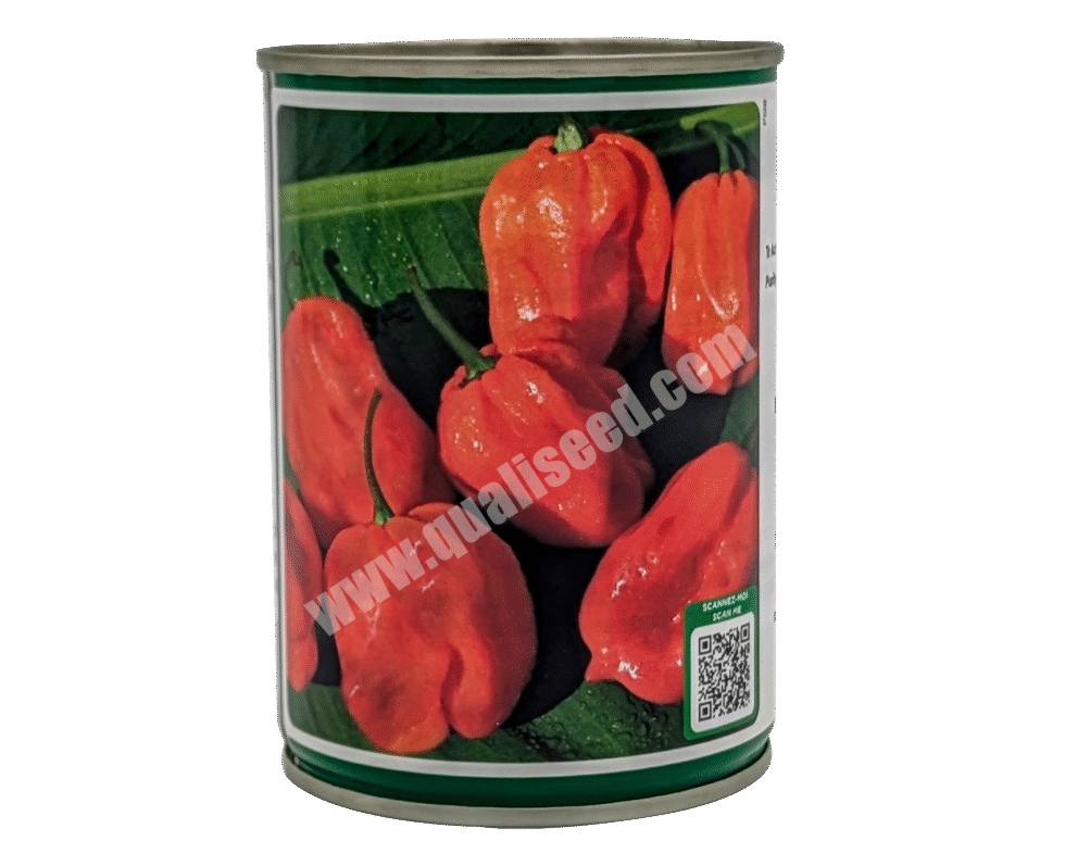 Antillais