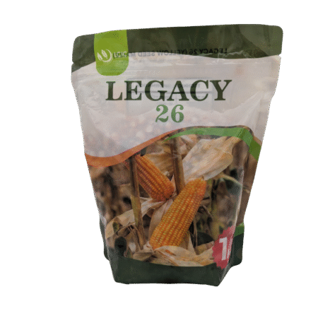 Legacy 26