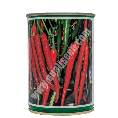 Cayenne