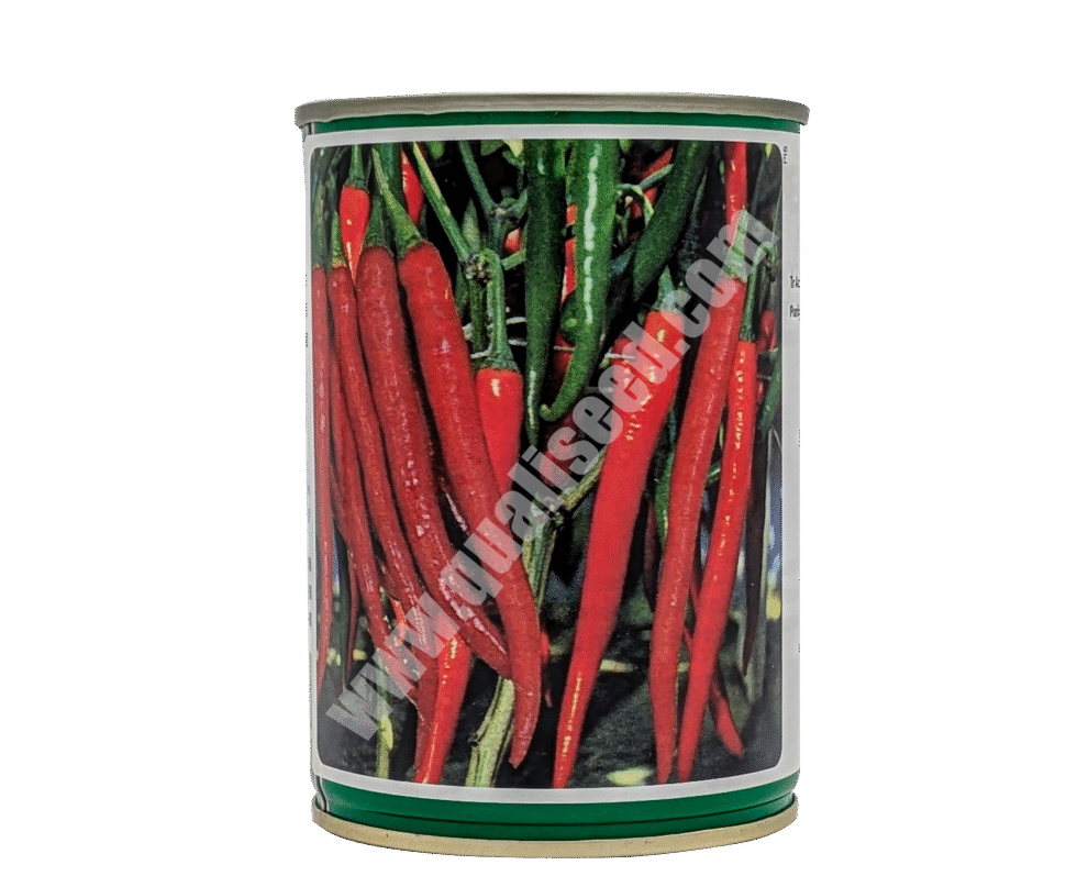 Cayenne