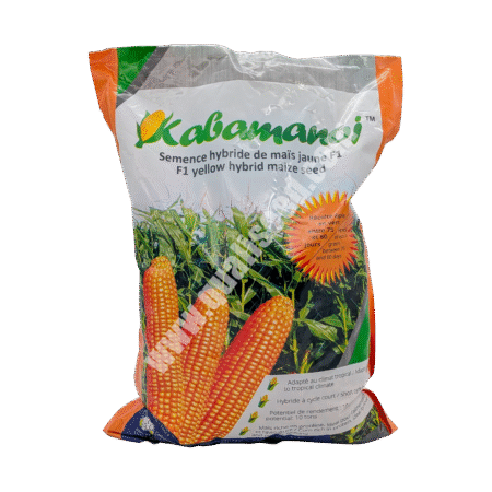 Kabamanoj F1