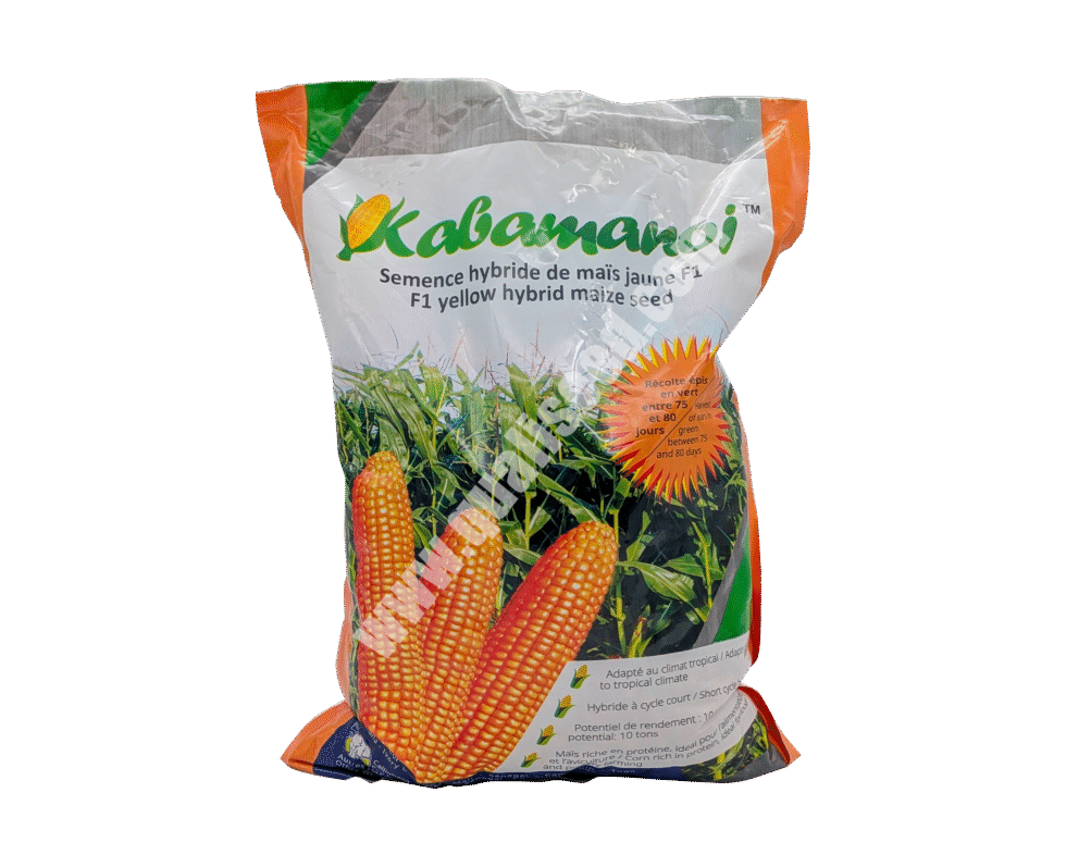 Kabamanoj F1