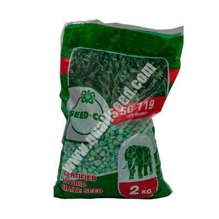 SeedCo SC719