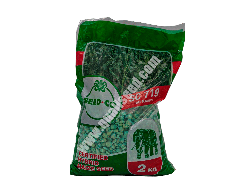 SeedCo SC719