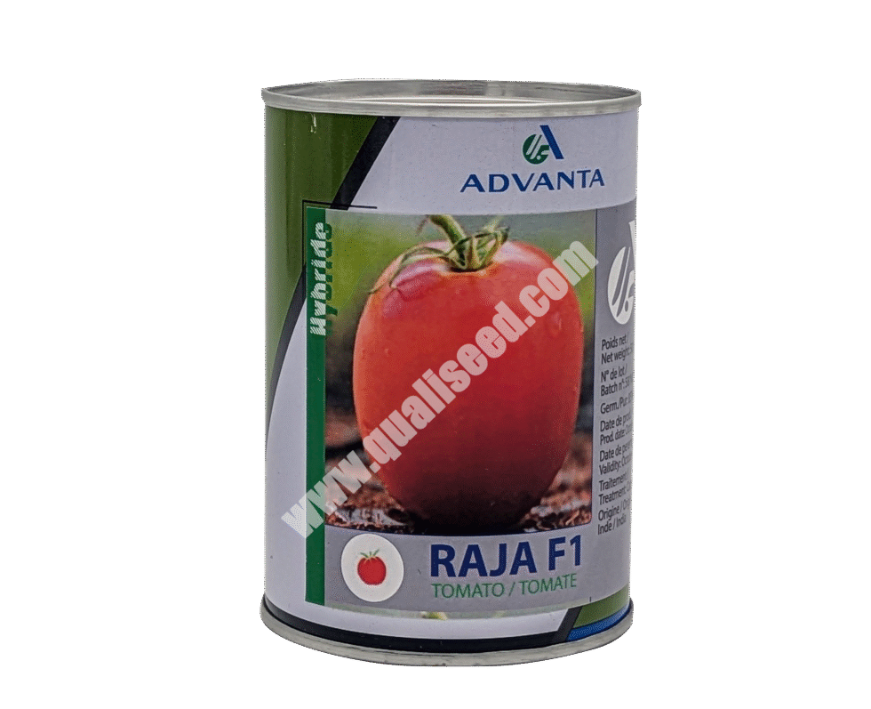 Raja F1