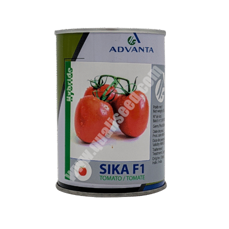 Sika F1