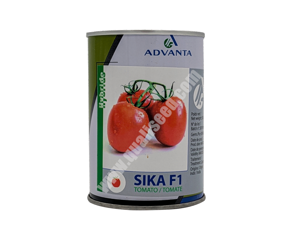 Sika F1