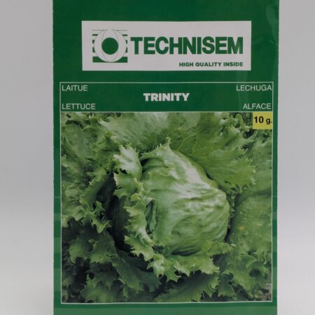 Trinity