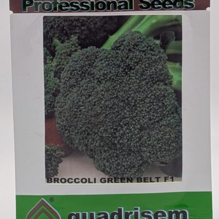 Green Belt F1