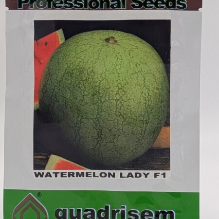 Lady F1