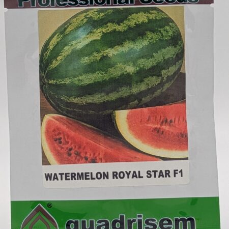 Royal Star F1