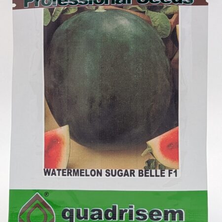 Sugar Belle F1