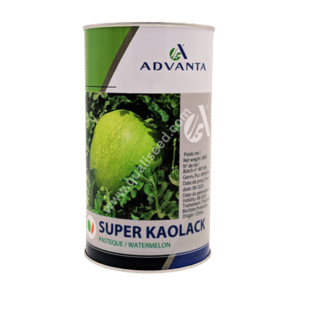 Super Kaolack