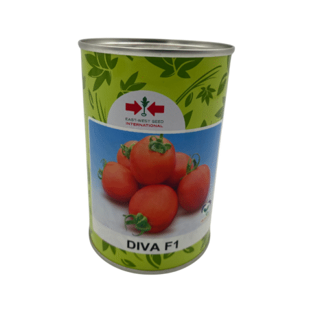 Diva F1